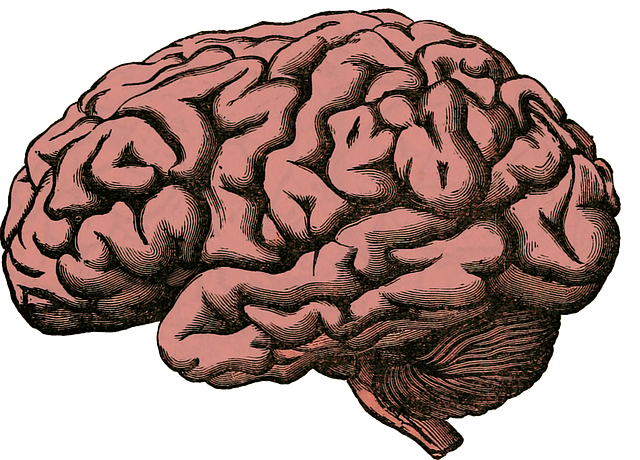 Neurología pediátrica